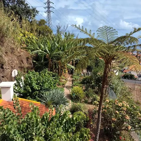 Casa Amarela Homestay Canico (Madeira)